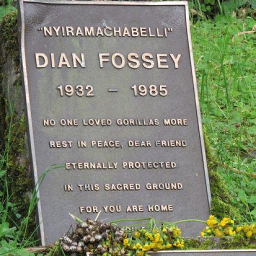 Dianne Fossey Hike