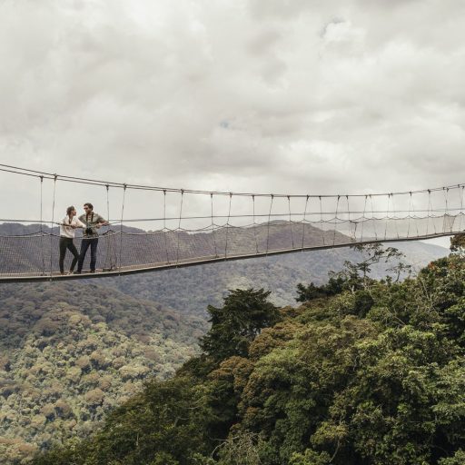 Nyungwe Canopy Walk